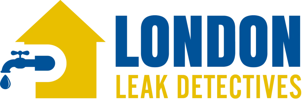 London leak detectives